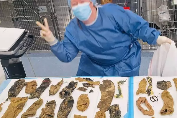 Corona Animal Emergency Center