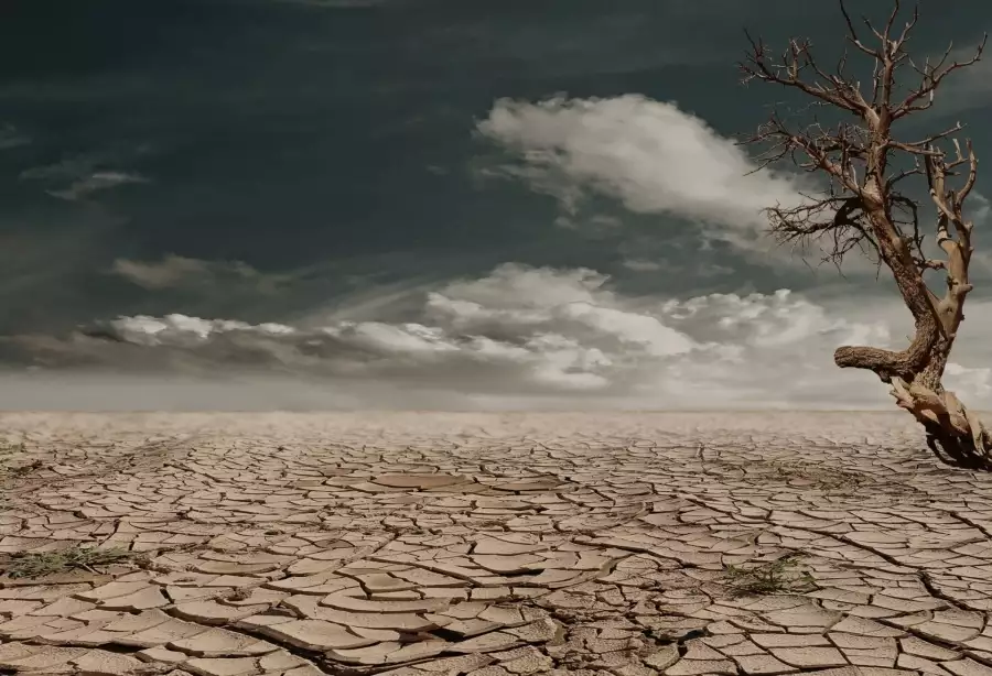 El Niño se utrhlo ze řetězu. Účet za extrémní počasí může přijít u ranní kávy i večeře